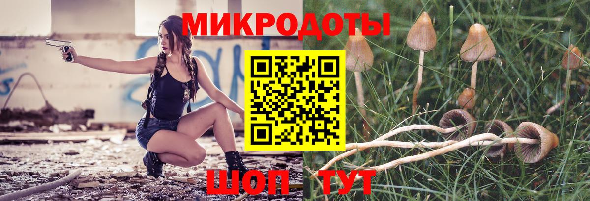 что такое наркотик  Псилоцибиновые грибы Psilocybe  Вход с VPN  Керчь  Псилоцибиновые грибы ЛСД 